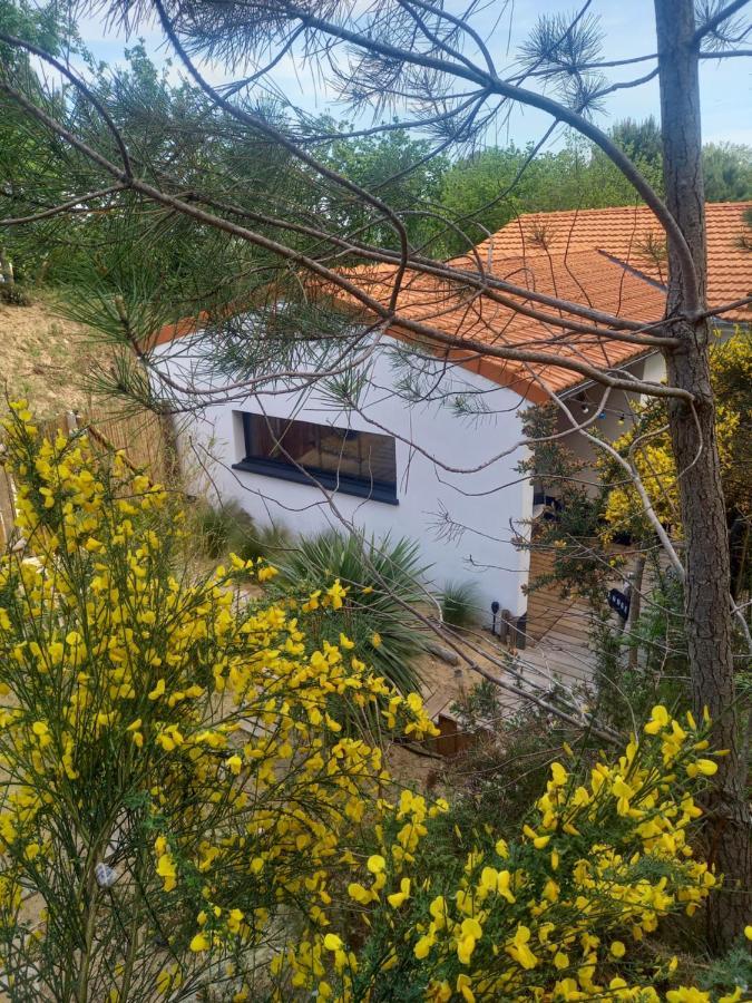 Saint-Augustin  Cot'& Dune - Lodge D'Hote & Spa De Nage מראה חיצוני תמונה