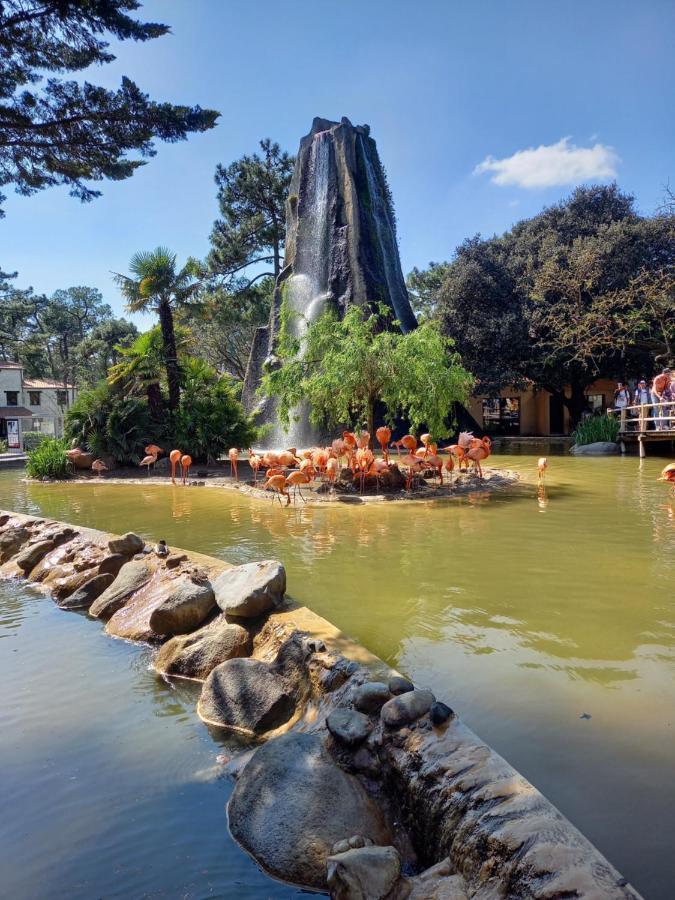 Saint-Augustin  Cot'& Dune - Lodge D'Hote & Spa De Nage מראה חיצוני תמונה